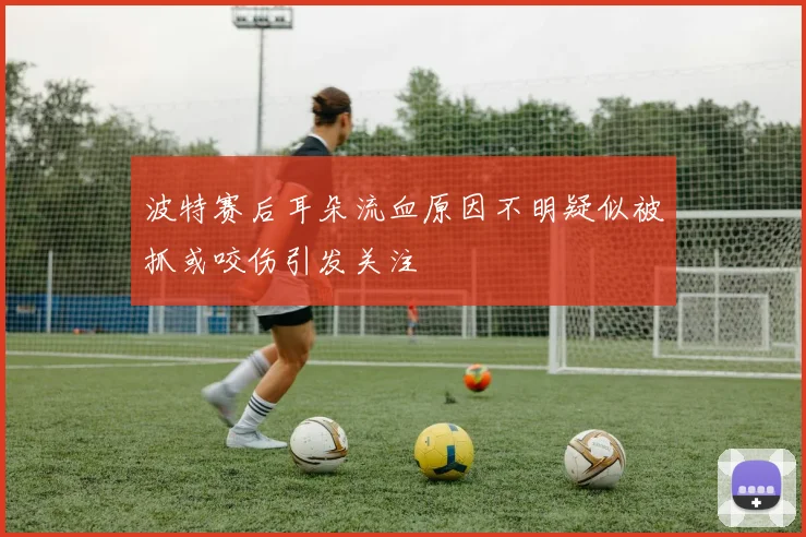 波特赛后耳朵流血原因不明疑似被抓或咬伤引发关注