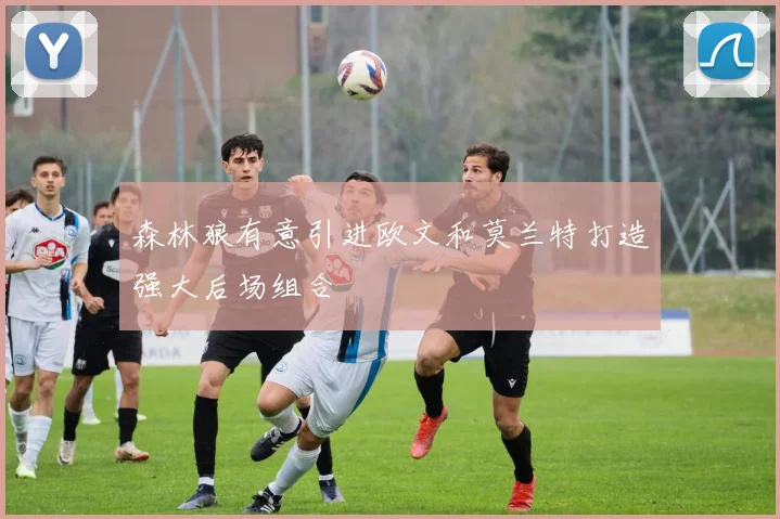 森林狼有意引进欧文和莫兰特打造强大后场组合